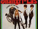 The SHANGRI - LAS – Leader of the Pack 1965 RED BIRD LP