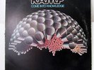 RAMP-COME INTO KNOWLEDGE ON ABC BLUE THUMB FUNK LP-ORIGINAL STRONG VG+, ROY AYER