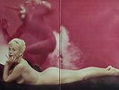 SEXY NUDE COVER & CHEESECAKE   YOICHI SUZUKI / Pink Mood Deluxe   LP SJV-232
