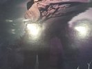 Dusty Springfield Signed Autographed LP W/Vinyl Living Without Your Love SALE