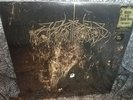 Wolves In The Throne Room two hunters Gold Vinyl record 2LP 180g limited to 1000
