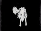 Sigur Rós  ?– Kveikur Vinyl 2LP, 10