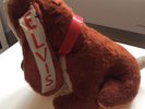 ELVIS PRESLEY - 100% GENUINE HOUND DOG AS SOLD AT THE SHOWS-LARGER ONE