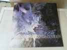 Poison the Well - Opposite of December (2003)
