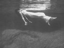 Bill Evans - Jim Hall ?– Undercurrent SEALED Dol ?DOL779H VINYL LP