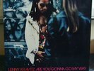 Lenny Kravitz - Are You Gonna Go My Way - Original 1993 Release - Vinyl Lp