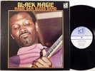 MAGIC SAM BLUES BAND Black Magic DELMARK LP w grand original blues