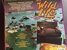 The Wild Life Original Soundtrack Music Van Halen & Various Vinyl Promo M 1984