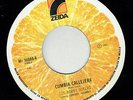 LOS BOBBY SOXERS cumbia callejera MURDEROUS CUMBIA GAITA listen COLOMBIA ex