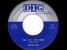 '56 W Coast Country Blues SAILOR BOY What Have I Done Wrong Pts 1 & 2 DIG HEAR