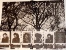 SKELETAL FAMILY Trees / Just a Friend 7