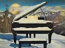 SUPERTRAMP - AUDIOPHILE SERIES 1977 - EVEN IN THE QUIETEST MOMENTS...LP
