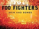 Skin And Bones, 2014  Foo Fighters Vinyl NEW