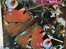 ALESSANDRO ALESSANDRONI-THE BUTTERFLY LA FARFALLA SERMI SR ST 132 1st pressing
