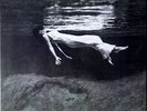 Bill Evans / Jim Hall - Undercurrent Vinyl LP