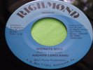 Hear Rare Funk Soul 45: Andrew Lewis Band   Holding On   Richmond 7053-16
