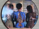 PINK FLOYD....RARE BEAUTIES (JAPAN PIC DISC LP)