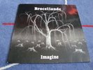 BROCELIANDE - IMAGINE FRENCH OBSCURE PRIVATE PRESS PROG JAZZ FUSION