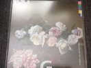New Order - Power Corruption & Lies. Exclusive Silver Vinyl - 1000 Only. Rare