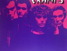 THE CRAMPS Hot Club Philadelphia Nov. '77 LP . poison ivy lux interior punk tras