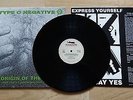 TYPE O NEGATIVE origin of the feces LP FIRST PRESS