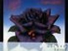 THIN LIZZY - BLACK ROSE (DELUXE EDITION) [2CD]
