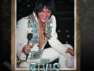 Elvis PresIey - The Elvis Files Volume 8 1976-1977 Hardcover Book - New & Sealed