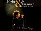 Echo & The Bunnymen-It`S All Live Now  VINYL NEW