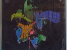THE SEEDS Raw & Alive - In Concert - US LP - Garage Punk Psych Sky Saxon