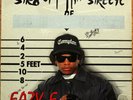 EAZY-E Str8 Off Tha Streetz Of EURO LP Ruthless 483576-1 NM/EX RARE Unscratched