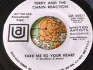 Mod Garage Punk Dancer 45 Terry and the Chain Reaction Take Me to Heart NM HEAR