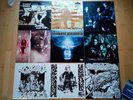 HipHop Vinyl LP Signiert,Feinkost,GangStarr step arena,Stieber,Lords Underground