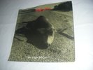 PEARL JAM  7
