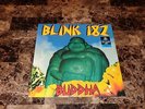 Blink 182 Rare Blue Color Vinyl LP 750 Press Buddha Newbury Comics Exclusive
