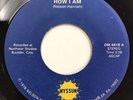 Nyssun - How I Am / Luck - Colorado / PA  Power Pop Holy Grail NM-