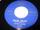 Sarg 113, Little Doug (Sahm-early original), Rollin' Rollin'/A Real American Joe