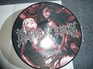 Cradle Of Filth  ?– Vempire Cacophonous Records ?– Nihil 6 PD  2003 VG++ Picture