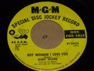 PSYCH GARAGE 45 - BURT WARD - BOY WONDER I LOVE YOU - ZAPPA - MGM PROMO