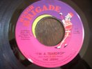 GARAGE / NORTHERN SOUL  THE JERMS  im a teardrop  HONOR BRIGADE  MINTY & GREAT