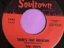 Rare/Northern Soul 45 The Trips-There's That Mountain-Soultown Reissue