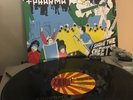 TED LEO AND THE PHARMACISTS Shake The Sheets LP LOOKOUT RECORDS