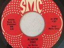 THE DARK SHADOWS - THE ROVING KIND - SMC ( ROOTS REGGAE 7 )