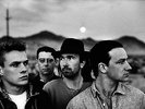 U2 - 7 x Vinyl LP - Boy, War, Live, Joshua Tree, Rattle & Hum, Achtung Baby