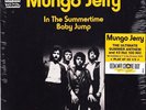 Mungo Jerry - In The Summertime / Baby Jump - 7