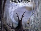 Non Serviam - Rotting Christ (Vinyl Used Like New)