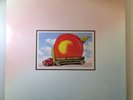 Allman Brothers ORIGINAL MASTER RECORDING  12' Vinyl Record LP M- / M-