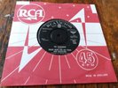 ROGER WEBB & HIS PIANO & ORCHESTRA - 