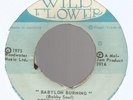 BOBBY SOUL AND THE RIGHTEOUS FLAMES - BABYLON BURNING / CHAPTER 1         7