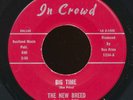 THE NEW BREED / Big Time - IN CROWD 45 / Ron Price garage TEXAS /  hear it