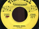 Delano Stewart - Spinning Wheel Canada Timbrell 7
